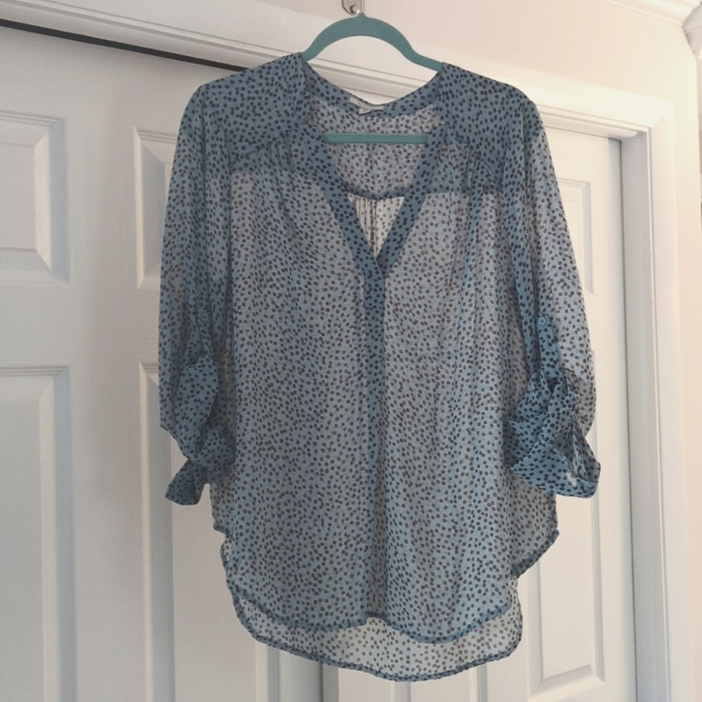 Powder blue and chocolate dotted blouse